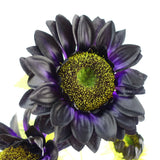 Leaf Pack of 6 Purple Artificial Sunflower Stems, 88cm with 3 Heads – Wired Faux Flowers for Arrangements