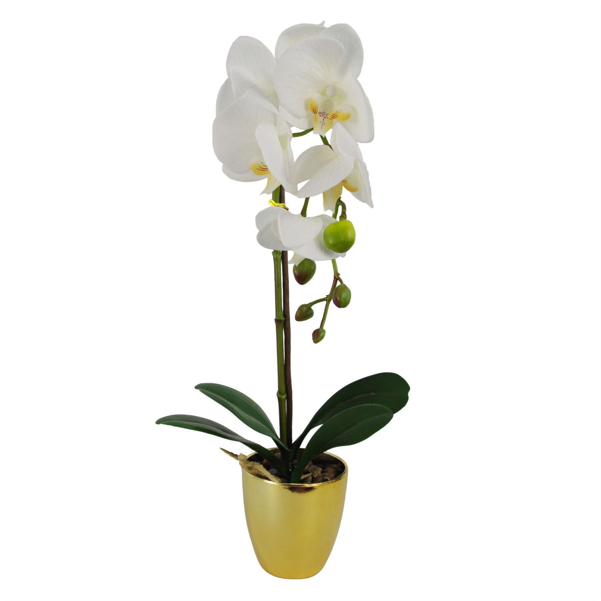 Leaf 46cm Artificial Orchid with 6 Real Touch Flowers – White in Gold Decorative Pot