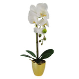 Leaf 46cm Artificial Orchid with 6 Real Touch Flowers – White in Gold Decorative Pot