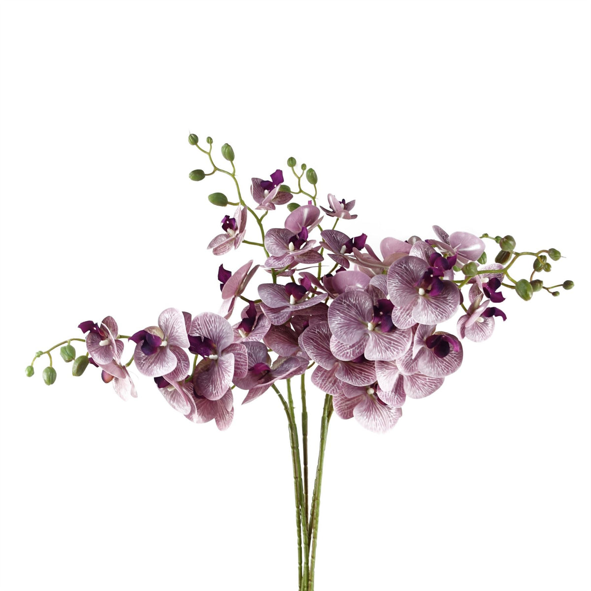 Pack of 6 x 100cm Artificial Phalaenopsis Orchid Purple Stem – 42 Flowers
