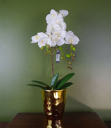 54cm Artificial Orchid Plant – White with Gold Pot