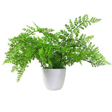 Leaf Design 30cm Artificial Potted Royal Fern – Realistic Forest Fern Plant in Weighted Pot