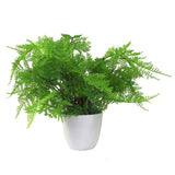 Leaf 30cm Artificial Potted Lady Fern (Athyrium Filix-Femina) – Realistic Botanical Fern Plant