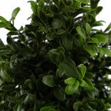 Leaf 120cm Spiral Boxwood Artificial Topiary Tree – UV Resistant Outdoor Plant in Plastic Pot