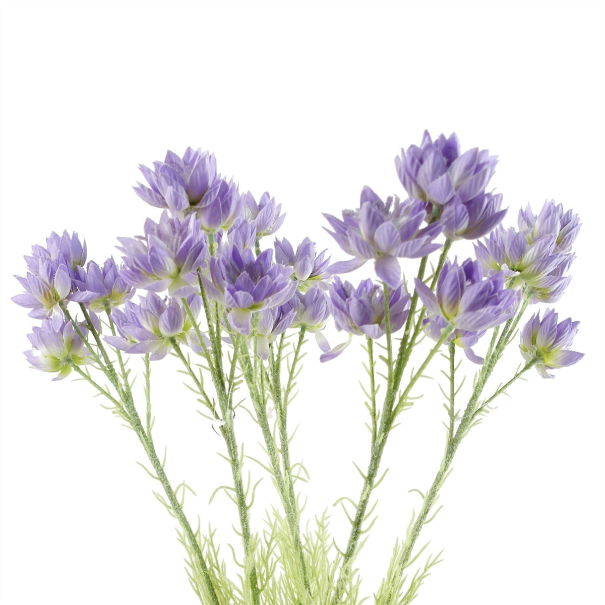 Pack of 6 Artificial Purple Starflower Stems, 60cm with 30 Silk Flowers – Home Floral Decor