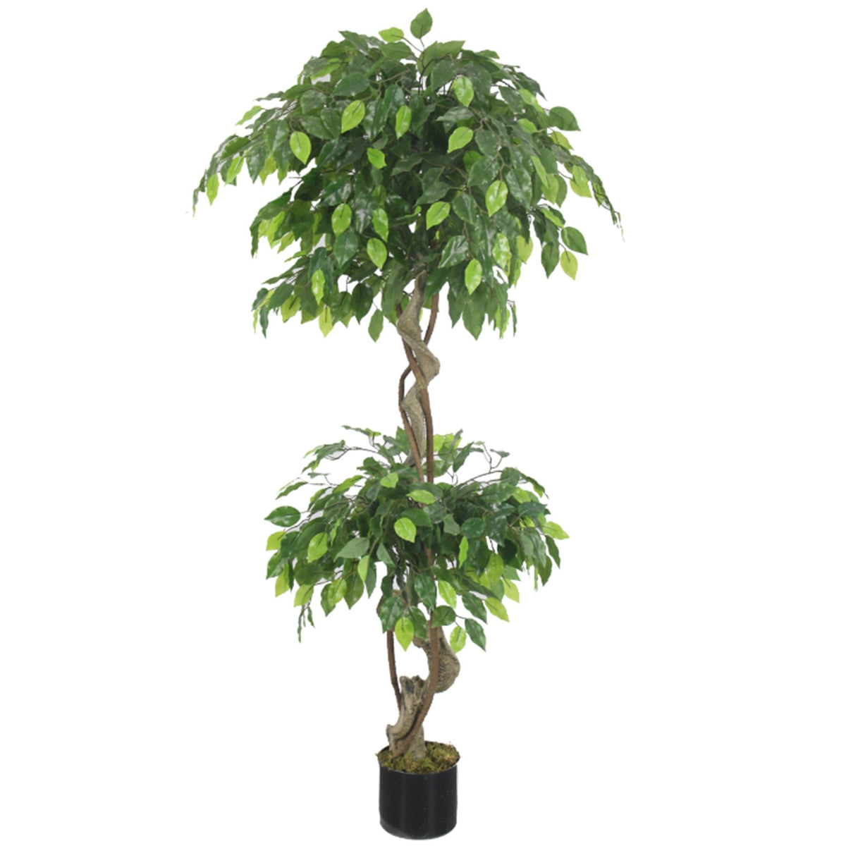 Leaf 150cm Artificial Twisted Ficus Tree – Realistic Fake Plant, Potted and Fully Assembled