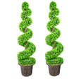 Spiral topiary trees with planters