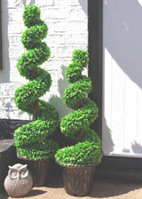 120cm Artificial Spiral Topiary Trees with Decorative Planters – Pair of Boxwood Plants for Doorways