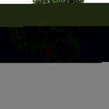 Pair of 120cm Artificial Spiral Buxus Topiary Trees – UV Resistant Outdoor Plants for Entrances & Patios