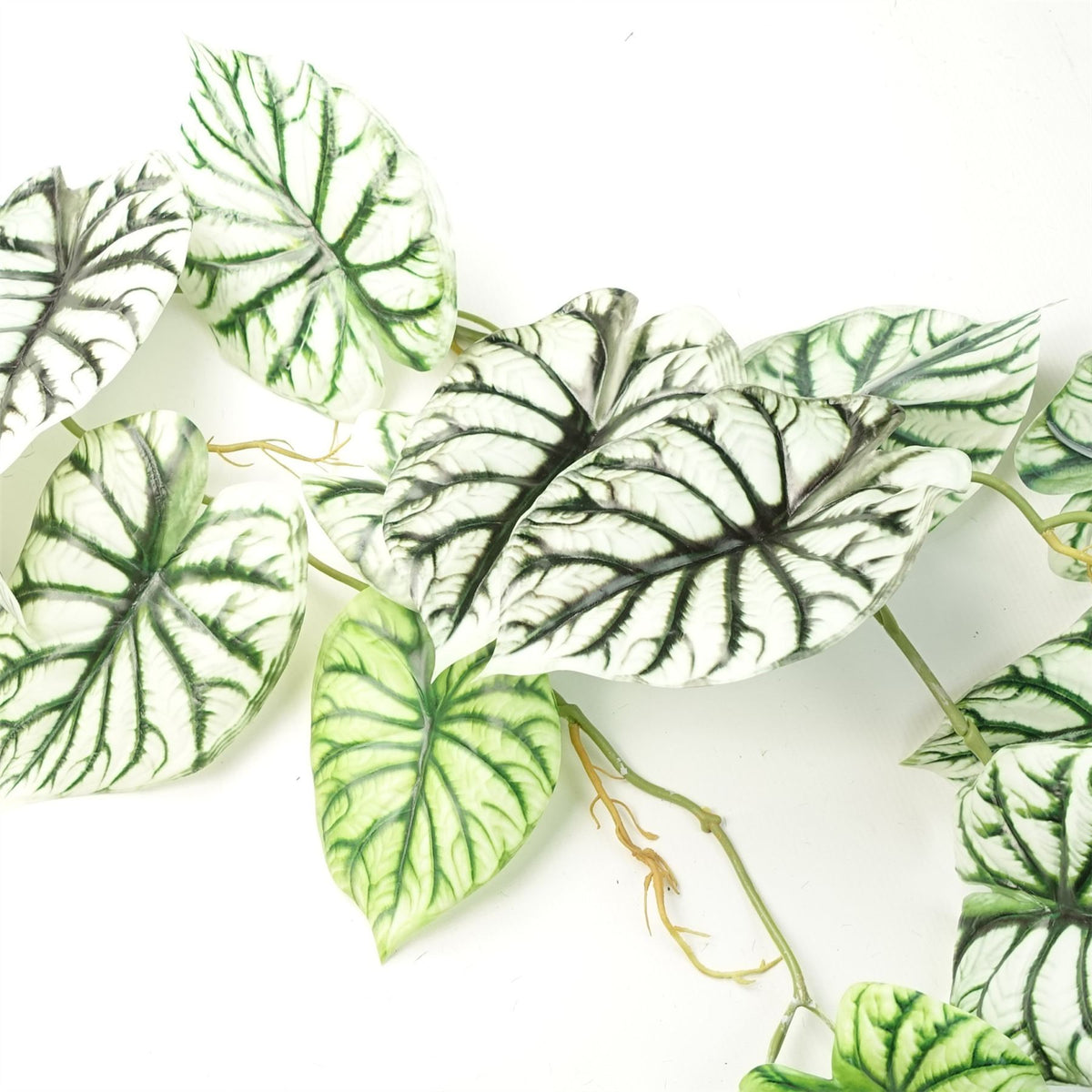 6 x 120cm Artificial Hanging Trailing Plant Alocasia Dragon Scale Light