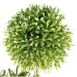Leaf 120cm UV-Resistant Artificial Ball Topiary Trees, Pair – Outdoor Front Door Plants