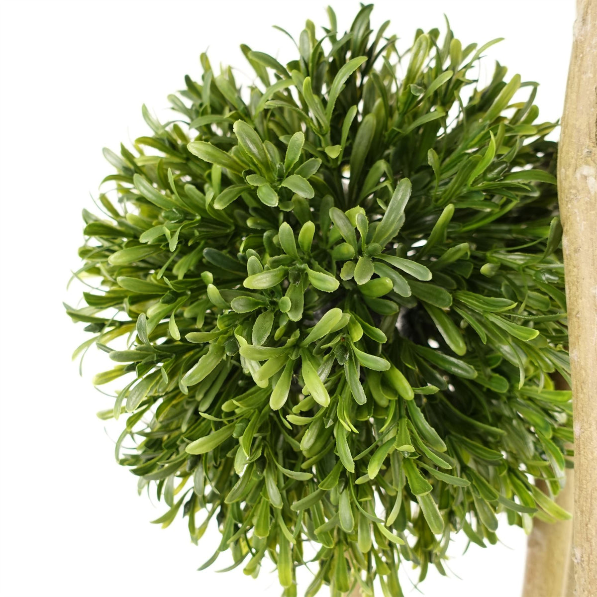 Leaf 120cm UV-Resistant Artificial Ball Topiary Trees, Pair – Outdoor Front Door Plants
