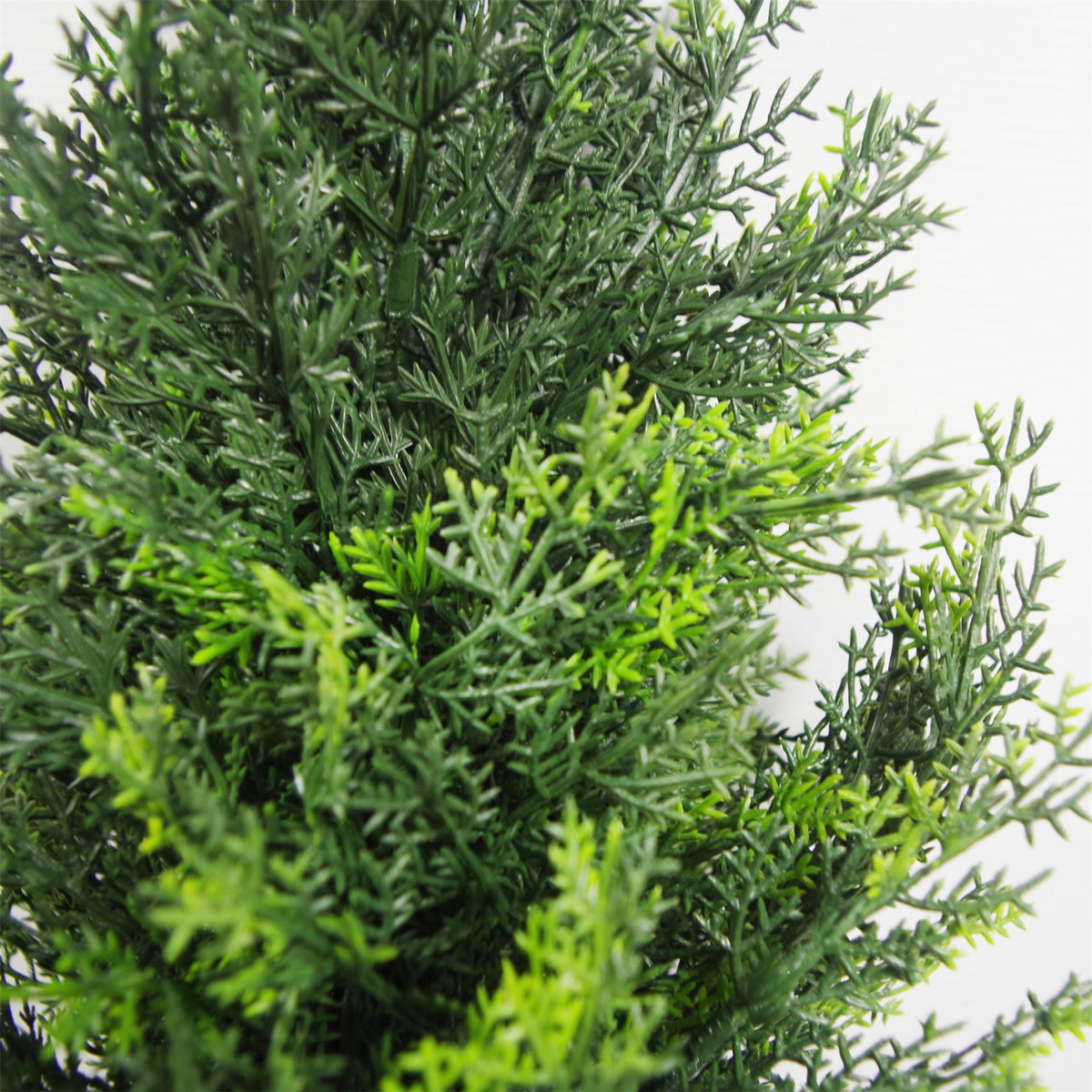 Leaf Design UK 60cm Pair of Artificial Cedar Cypress Topiary Trees – UV Resistant, Indoor and Outdoor