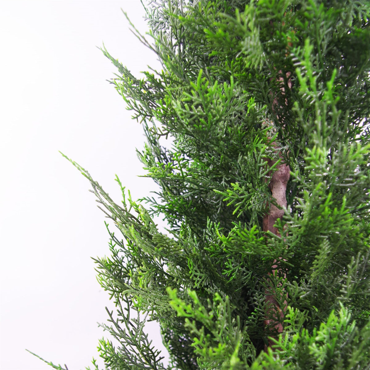 Pair of Artificial Cypress Topiary Trees, 120cm with Real Wood Trunks – Indoor & Sheltered Outdoor Use
