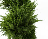 Leaf Pair of 120cm Spiral Cypress Artificial Trees – UV Resistant Outdoor Topiary Plants in Pots