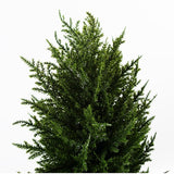 Leaf Pair of 120cm Spiral Cypress Artificial Trees – UV Resistant Outdoor Topiary Plants in Pots