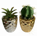 Artificial Cactus & Dracaena in Silver & Gold Ceramic Planters, 15cm – Set of 2 Home Decor