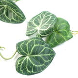 6 x 100cm Artificial Hanging Trailing Rounded Ivy Plant