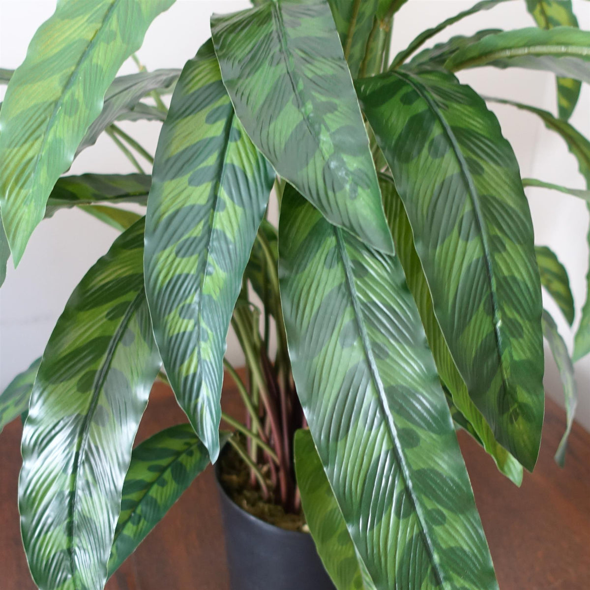 60cm Variegated Artificial Calathea Plant