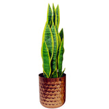 Honeycomb Metal Planter – Copper – 18cm x 15.5cm