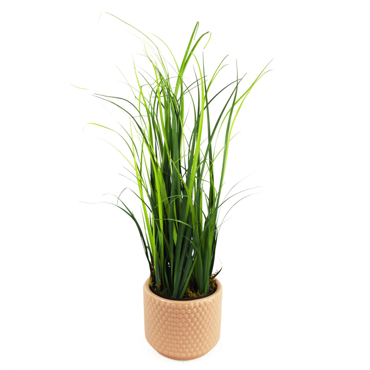 60cm Artificial Lemongrass Grass Plant