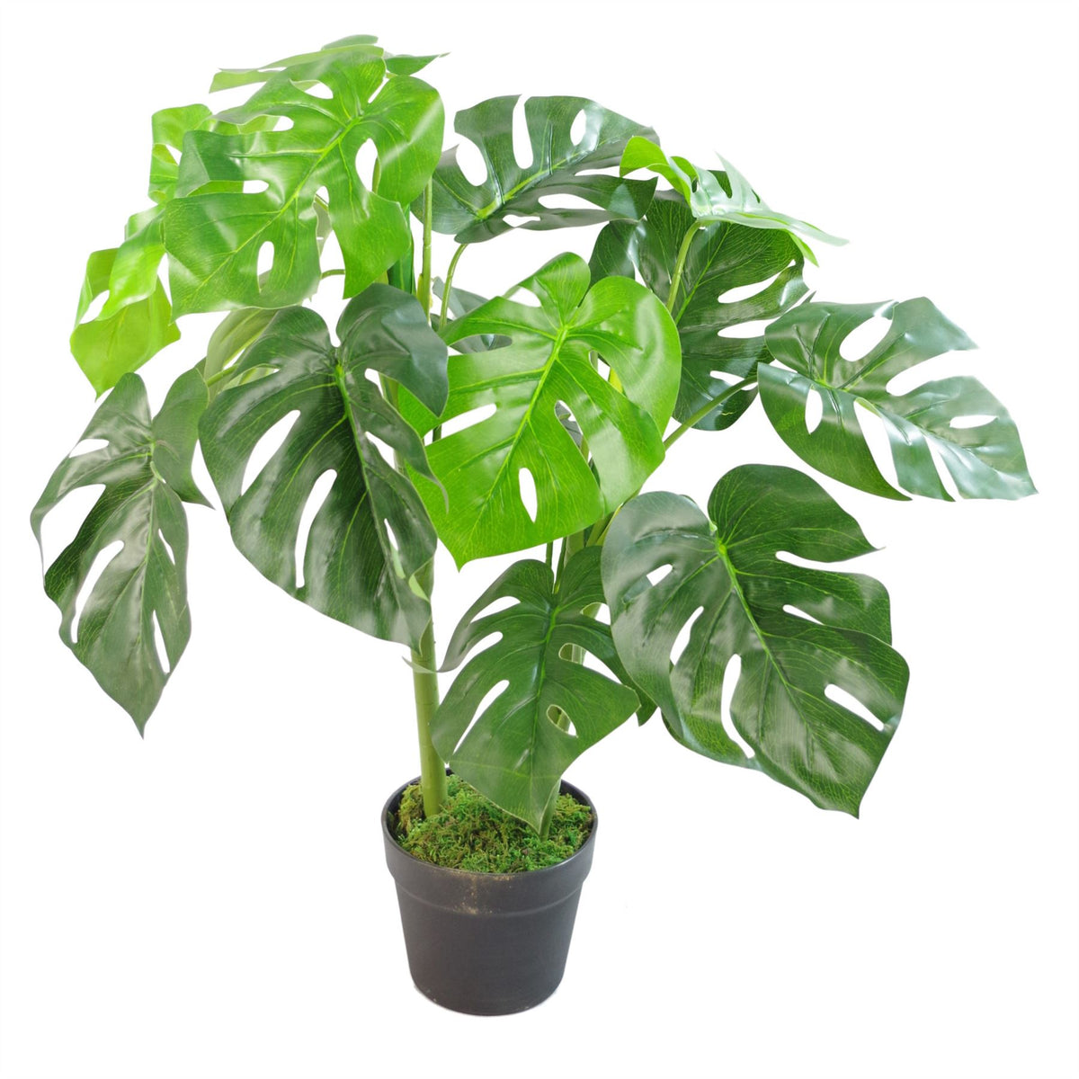 Artificial Monstera Plant – 80cm Monstera