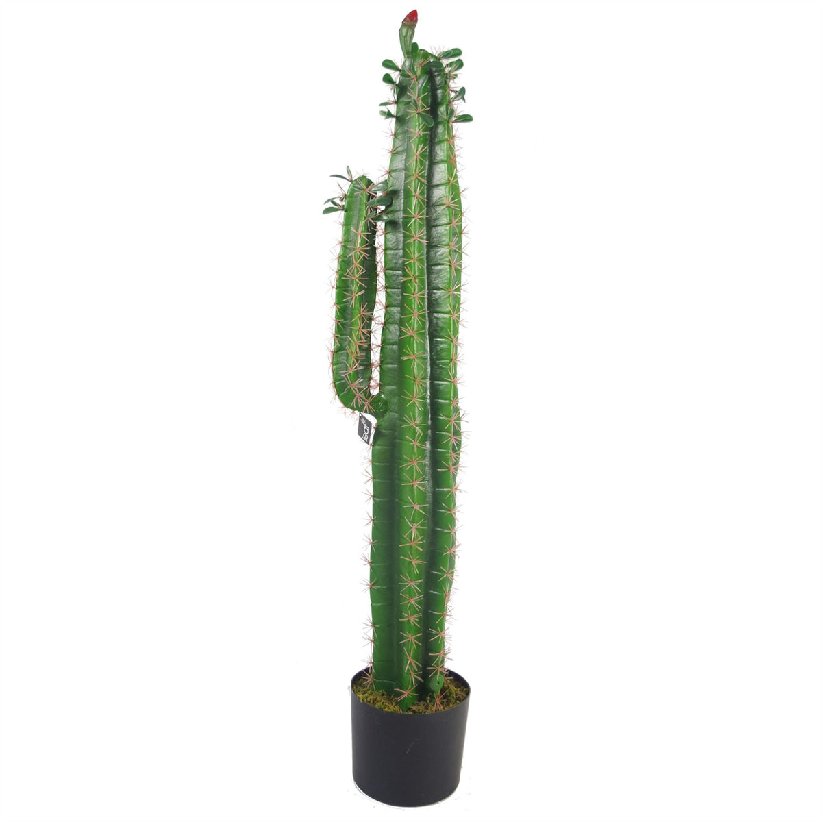 Premium Artificial Cactus in Weighted Black Pot – Realistic Exotic Plant, 110cm
