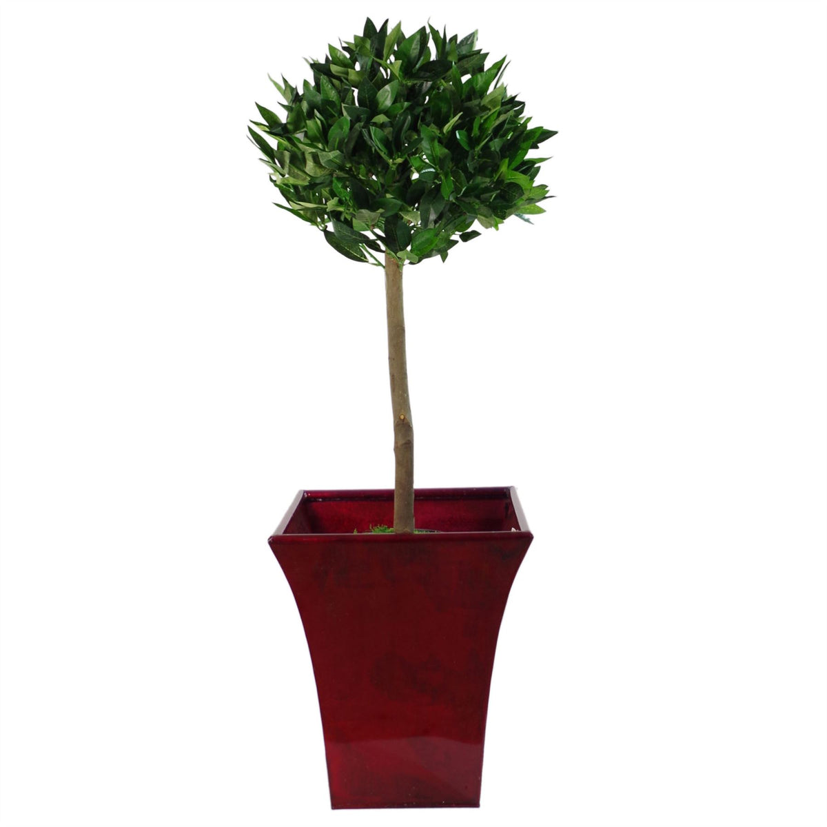 Pair of Leaf Design UK 90cm (3ft) Artificial Topiary Bay Laurel Ball Trees – Plain Stem Entrance Plants