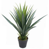 60cm Artificial Tropical Agave Succulent Yucca Style Green Plant