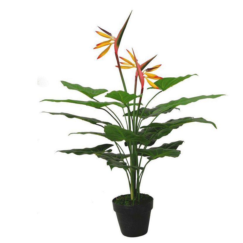 70cm Artificial Bird of Paradise Plant (Strelitzia) – Large