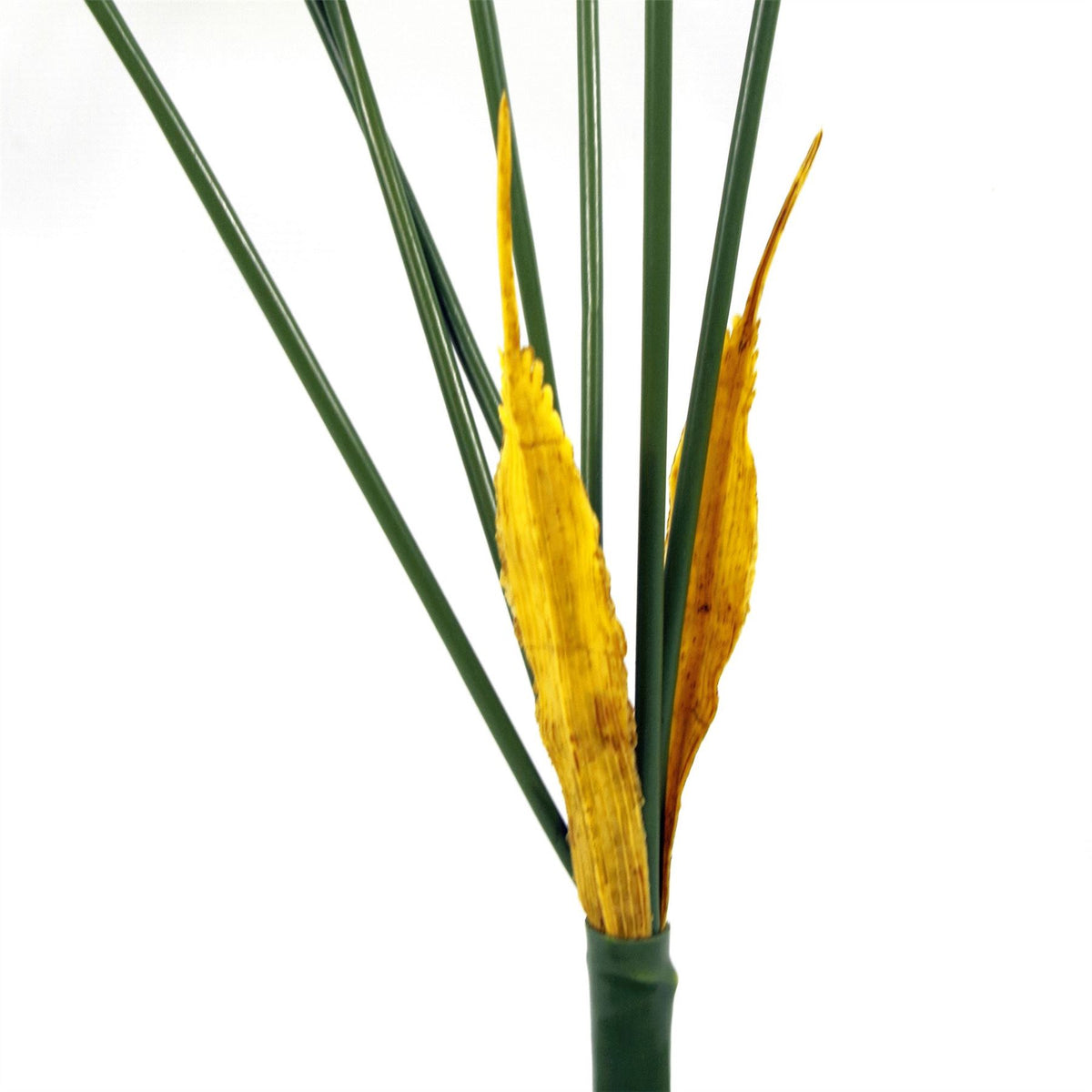Leaf Design UK 75cm Artificial Palm Tree with 6 Realistic Leaves – Unpotted Bare Stem Plant for Displays