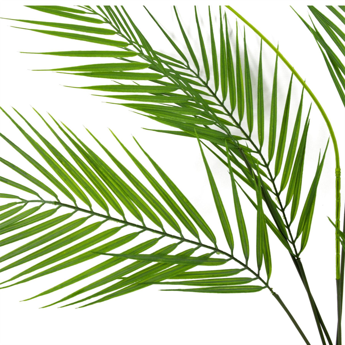 Leaf Design UK 75cm Artificial Palm Tree with 6 Realistic Leaves – Unpotted Bare Stem Plant for Displays