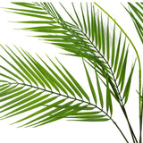 Leaf Design UK 75cm Artificial Palm Tree with 6 Realistic Leaves – Unpotted Bare Stem Plant for Displays