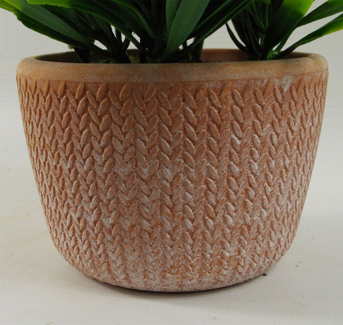 22cm Artificial Honey Plant in Terracotta Pot – Light Green