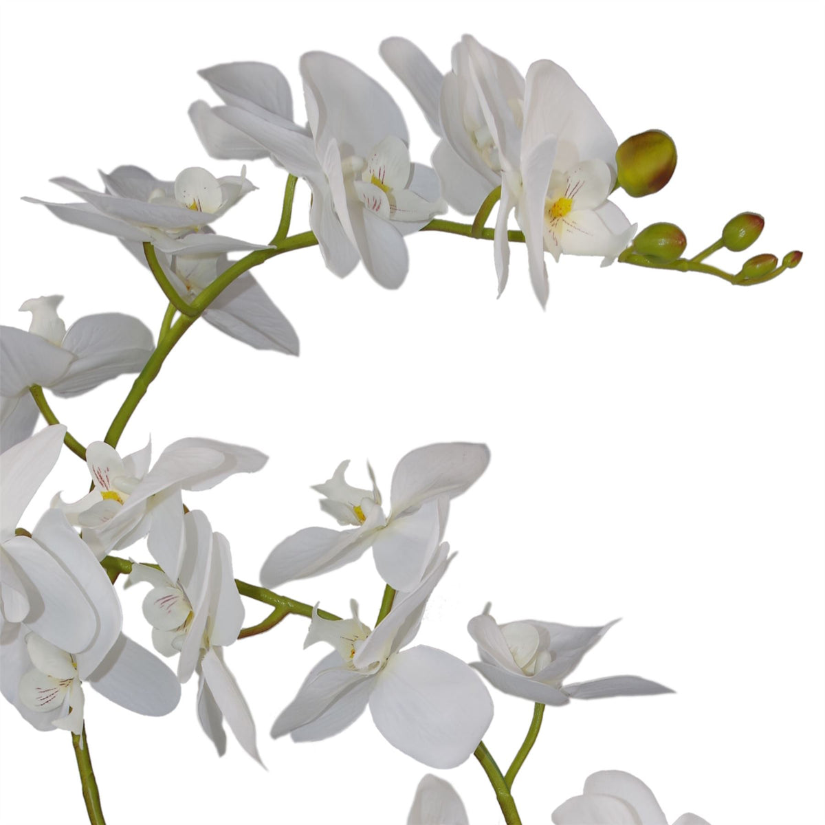 65cm Luxury Artificial Orchid – 3 Stems, Soft White