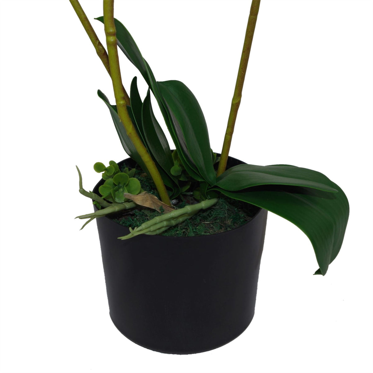 65cm Luxury Artificial Orchid – 3 Stems, Soft White