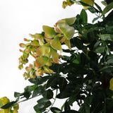 Leaf Design UK 120cm Premium Artificial Yellow Wisteria Tree with Natural Wood Trunk – Realistic Faux Tree