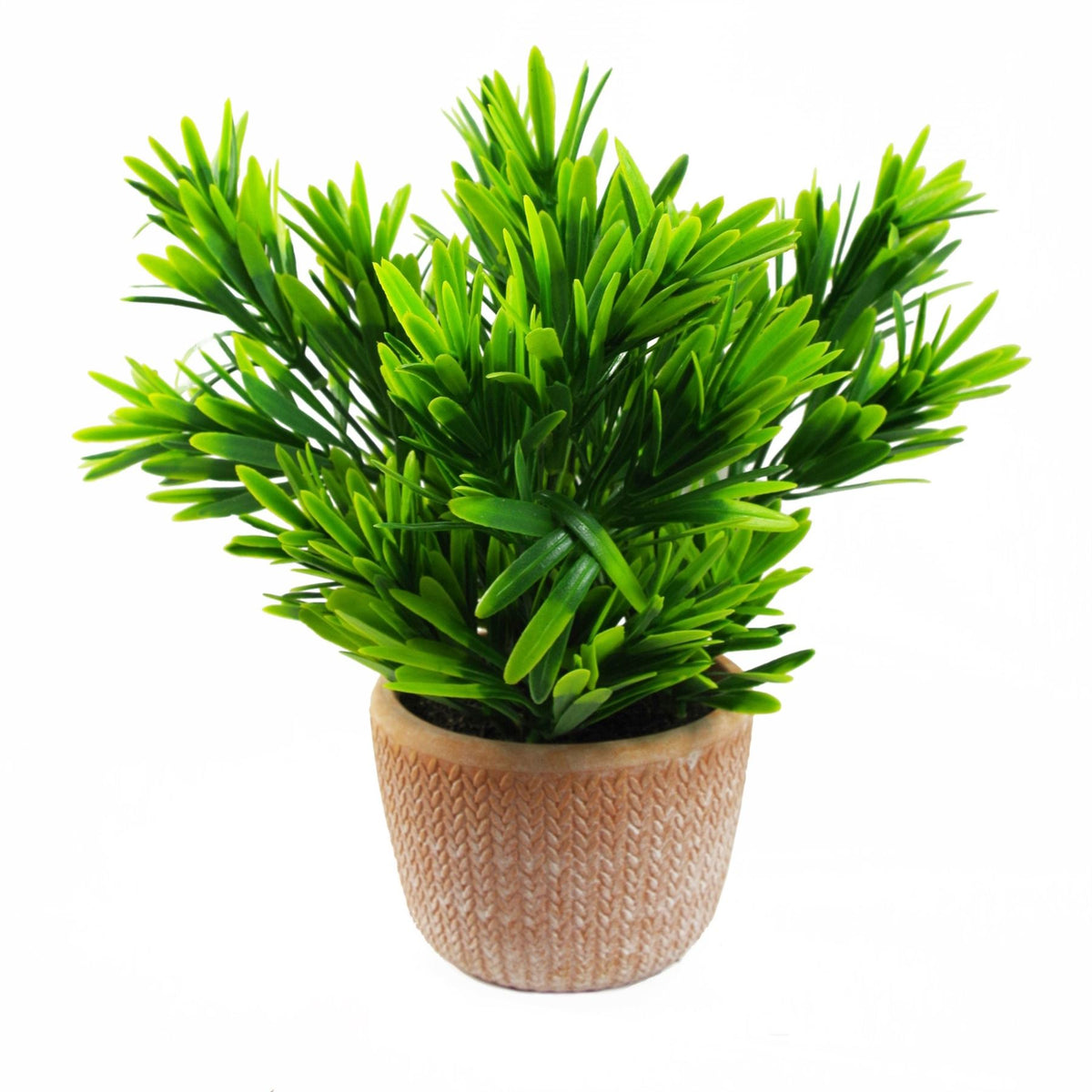 22cm Artificial Honey Plant in Terracotta Pot – Dark Green