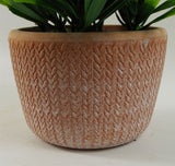 22cm Artificial Honey Plant in Terracotta Pot – Dark Green