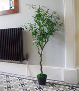 Leaf Design UK 120cm Natural Style Artificial Olive Tree with Realistic Olives – Potted Faux Tree