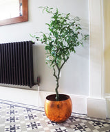 Leaf Design UK 120cm Natural Style Artificial Olive Tree with Realistic Olives – Potted Faux Tree
