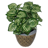 Artificial Watermelon Leaf Plant in Black Pot – Ready Potted, Approx. 45cm Tall