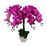 Leaf Design Artificial Deluxe Bush Orchid, 85cm – Large Dark Pink Flowers, Table Decoration, Potted