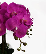 Leaf Design Artificial Deluxe Bush Orchid, 85cm – Large Dark Pink Flowers, Table Decoration, Potted