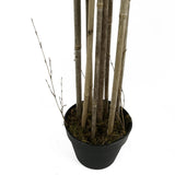 180cm (6ft) Artificial Bamboo Plants Trees – Natural Green XL