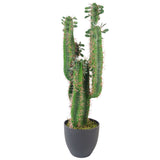 Leaf Design Premium Artificial Cactus, 75cm – Exotic Plant in Weighted Black Pot, Ready to Display