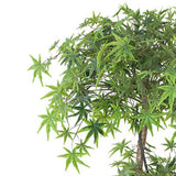 Leaf Design Artificial Japanese Maple Tree, 150cm – Evergreen Acer with Wired Stems, Weighted Pot
