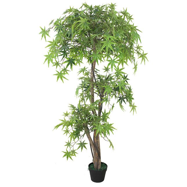 Leaf Design Artificial Japanese Maple Tree, 150cm – Evergreen Acer with Wired Stems, Weighted Pot