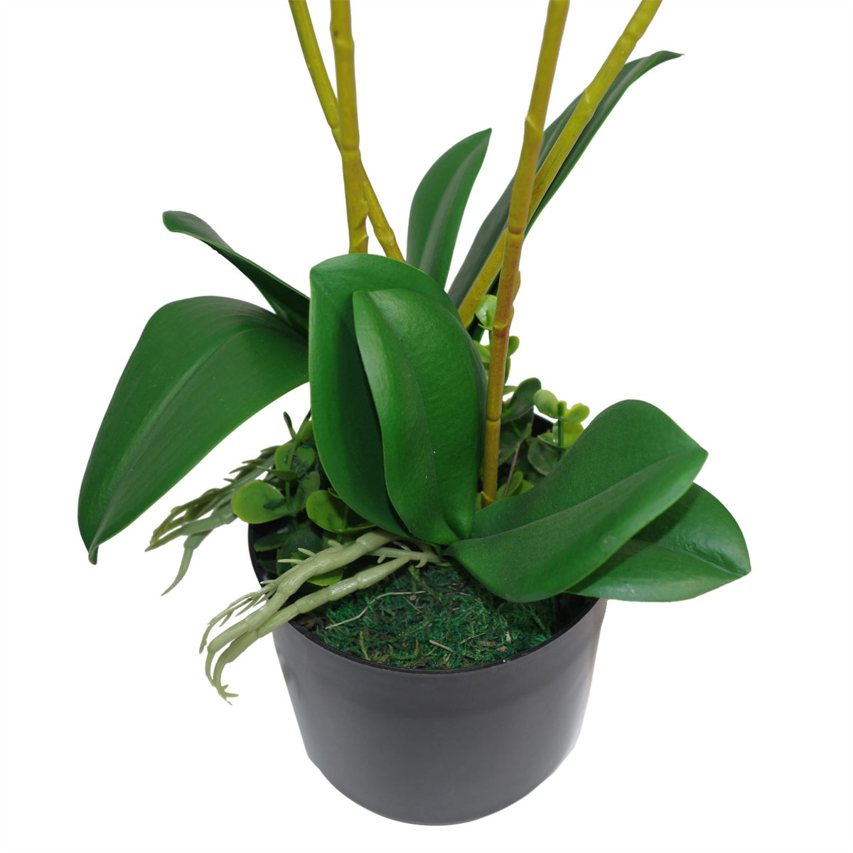 60cm Luxury Artificial Orchid – Triple Stem, Pink