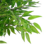 Leaf Design Premium Artificial Mini Ruscus Tree, 100cm – Silk Leaves & Real Wood Trunks, Moss-Covered Pot